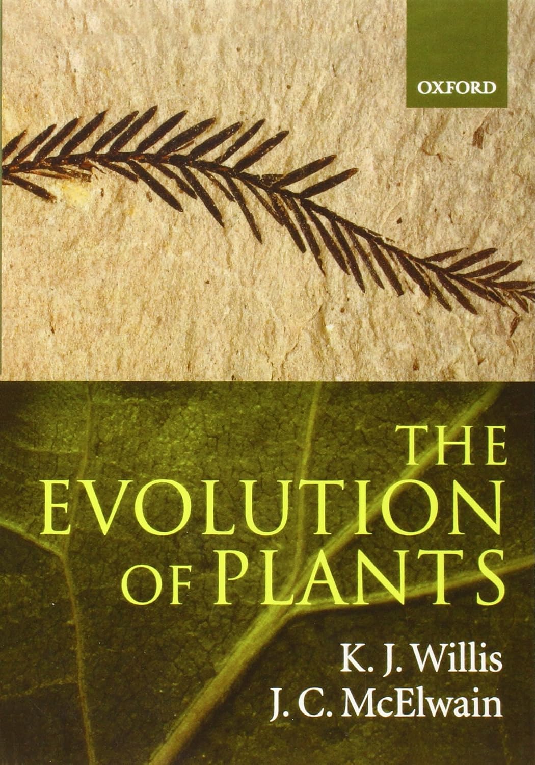 Buy The Evolution of Plants (English, Paperback, K. J. Willis, J. C. McElwain) Online at Best Price - BookBajar