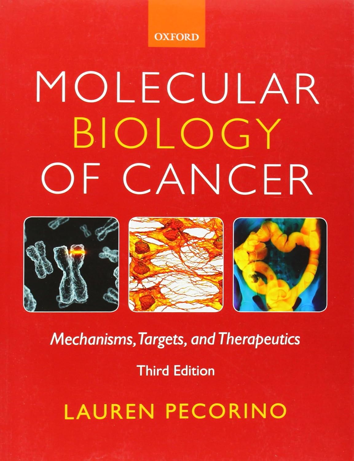 Buy Molecular Biology of Cancer: Mechanisms, Targets, and Therapeutics (English, Paperback, Lauren Pecorino) Online at Best Price - BookBajar
