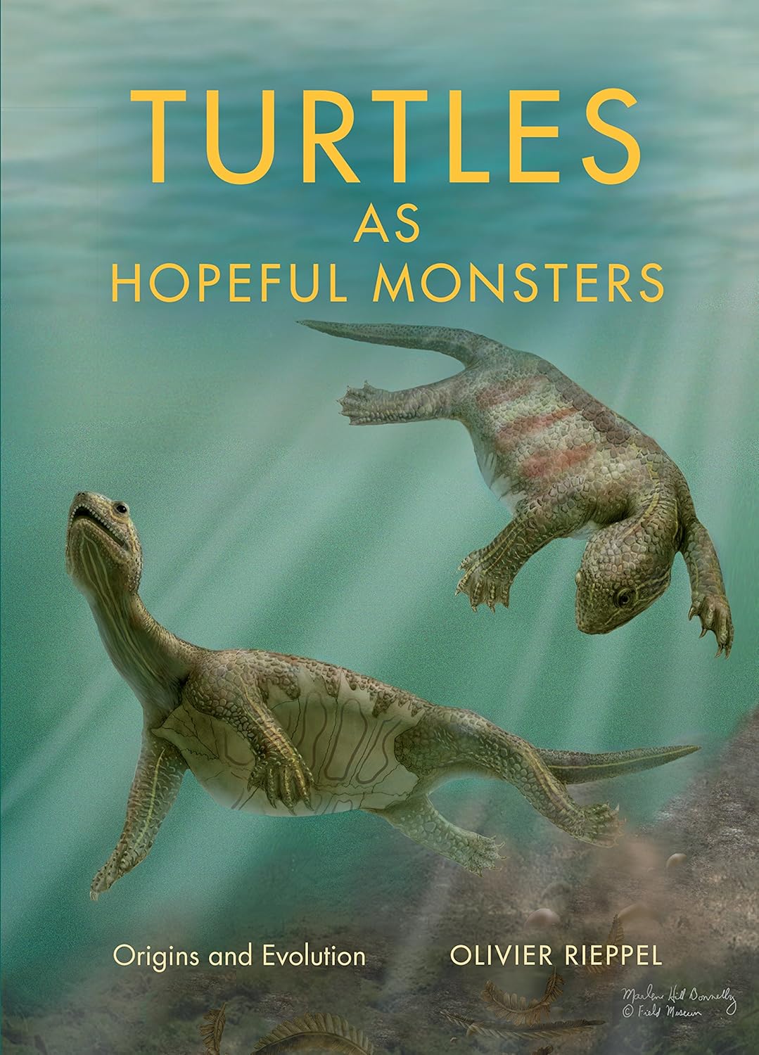 Buy Turtles As Hopeful Monsters: Origins and Evolution (Life of the Past) (English, Kindle Edition, Olivier Rieppel) Online at Best Price - BookBajar