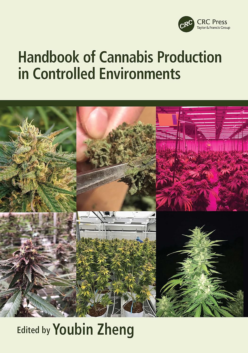 Buy Handbook of Cannabis Production in Controlled Environments (English, Kindle Edition, Youbin Zheng) Online at Best Price - BookBajar