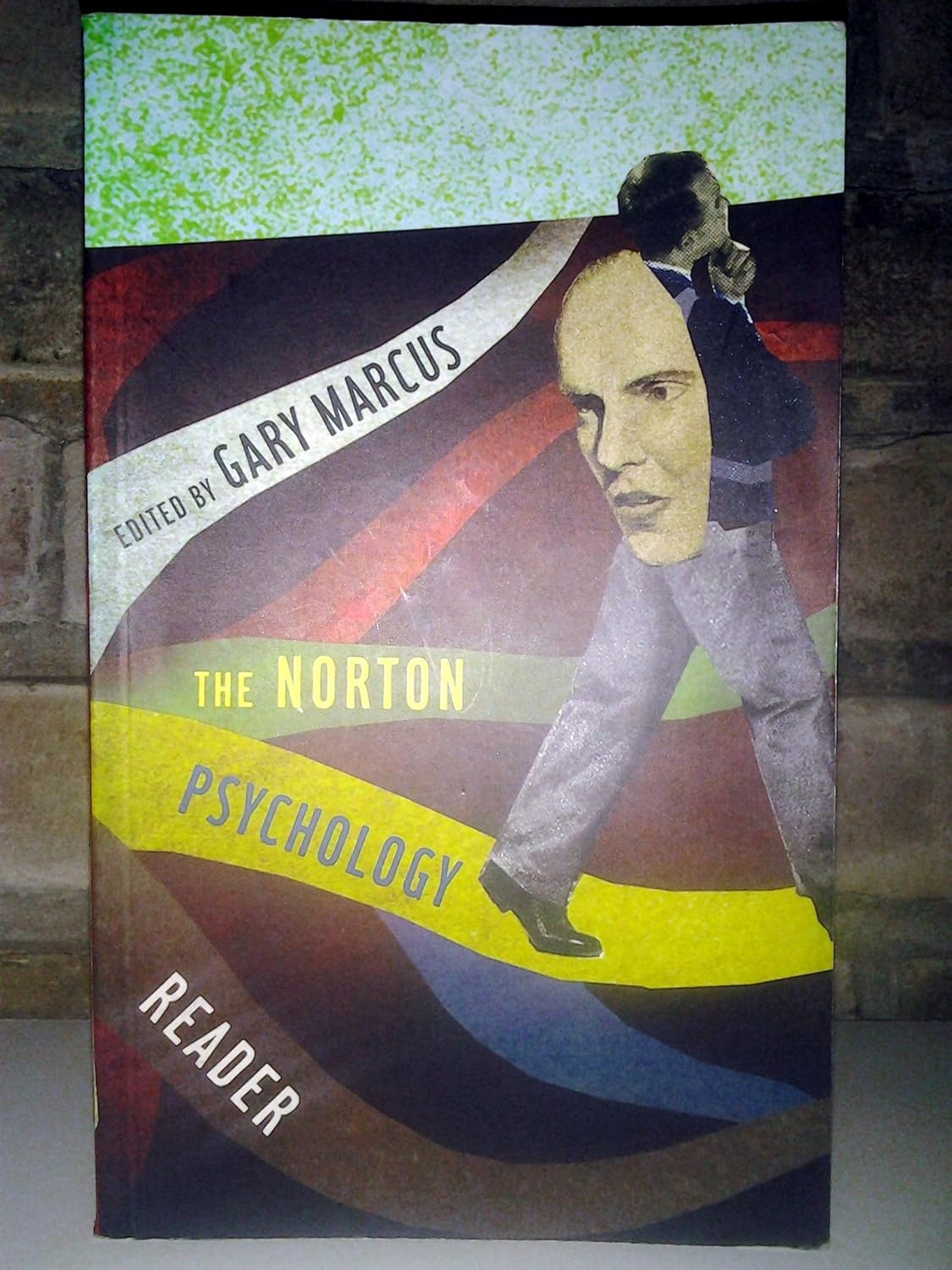 Buy The Norton Psychology Reader (English, Paperback, Gary Marcus) Online at Best Price - BookBajar