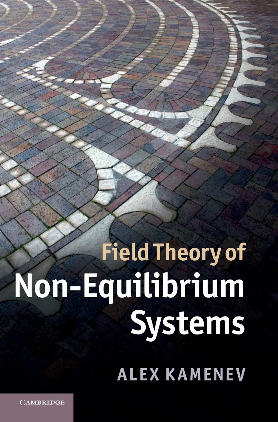 Buy Field Theory of Non - Equilibrium Systems (English, Kindle Edition, Kamenev) Online at Best Price - BookBajar