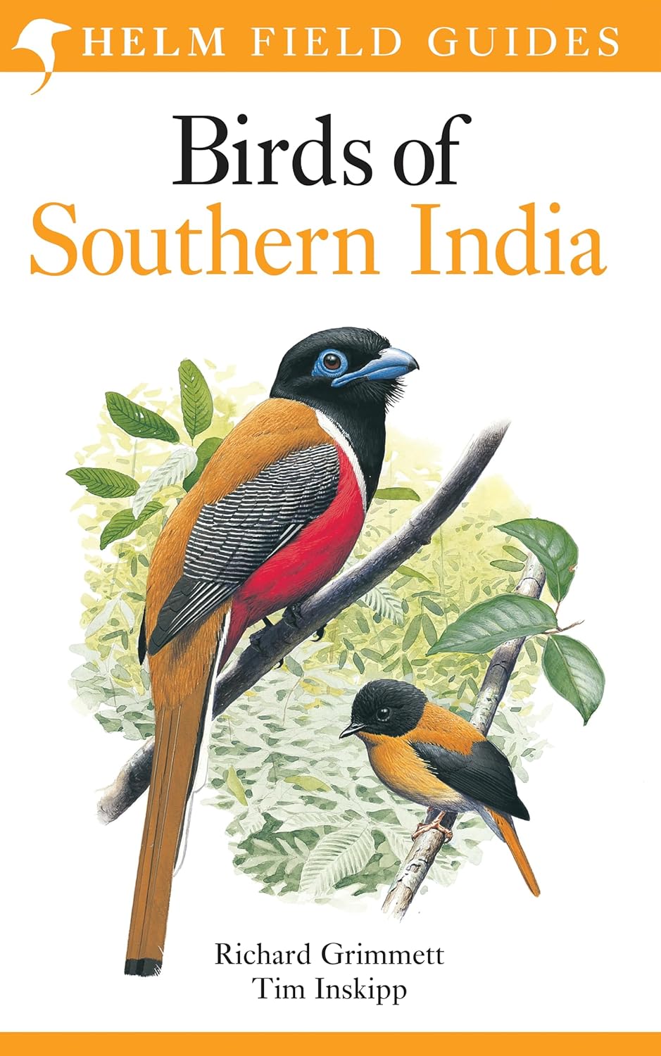 Buy Birds of Southern India (English, Paperback, Richard Grimmett, Tim Inskipp) Online at Best Price - BookBajar