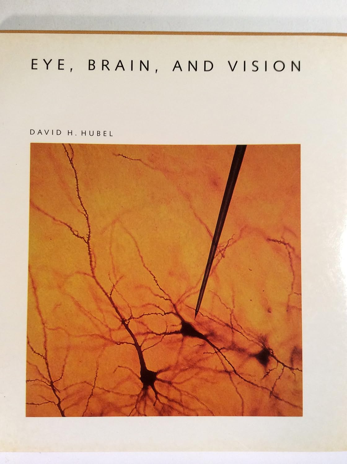 Buy Eye, Brain and Vision ("Scientific American" Library) (English, Hardcover, David H. Hubel) Online at Best Price - BookBajar