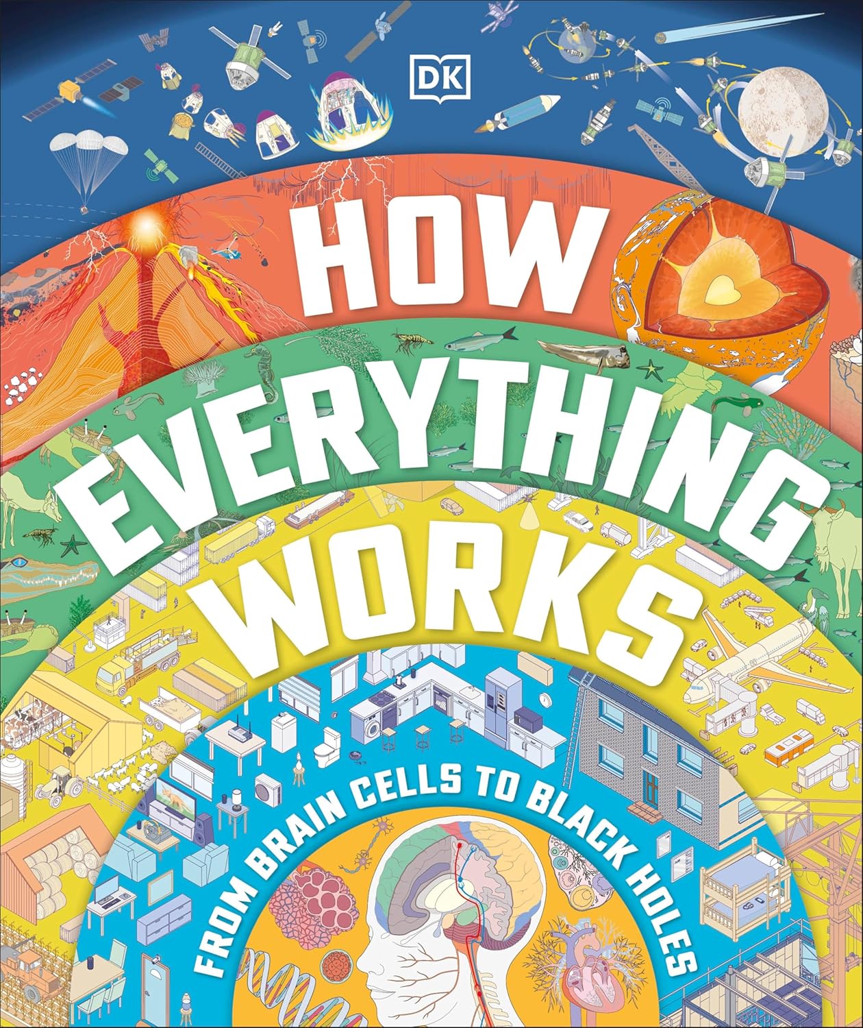 Buy How Everything Works: From Brain Cells to Black Holes (English, Kindle Edition, DK) Online at Best Price - BookBajar