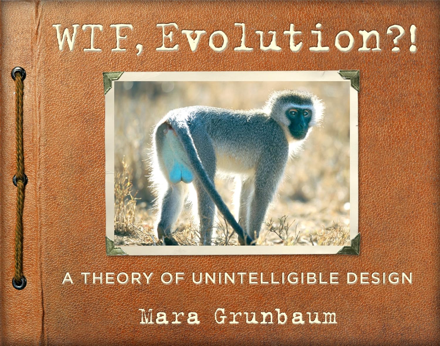 Buy WTF, Evolution?! (English, Kindle Edition, Workman Publishing, Mara Grunbaum) Online at Best Price - BookBajar