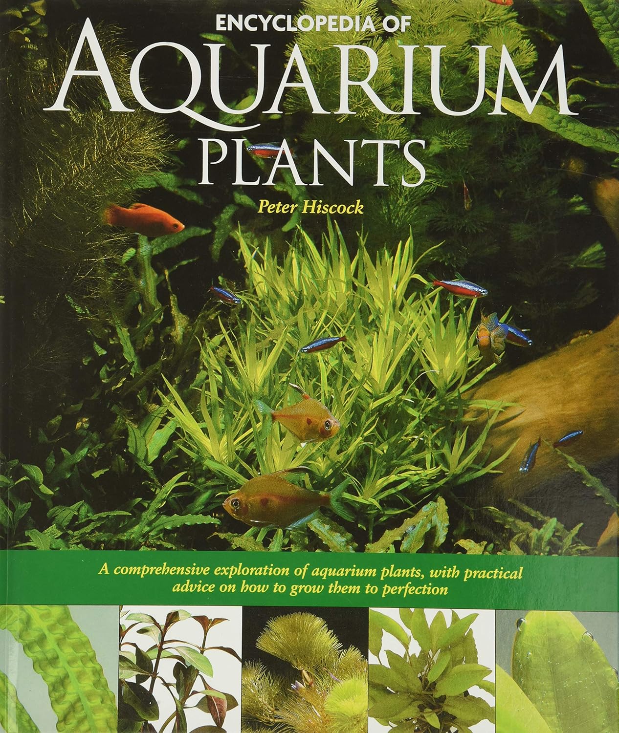 Buy Encyclopediaopedia of Aquarium Plants (English, Kindle Edition, Hiscock) Online at Best Price - BookBajar