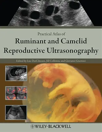 Buy Practical Atlas OF Ruminant AND Camelid Reproductive Ultrasonography (HB 2010) (English, Hardcover, Luc Descoteaux, Giovanni Gnemmi, Jill Colloton) Online at Best Price - BookBajar
