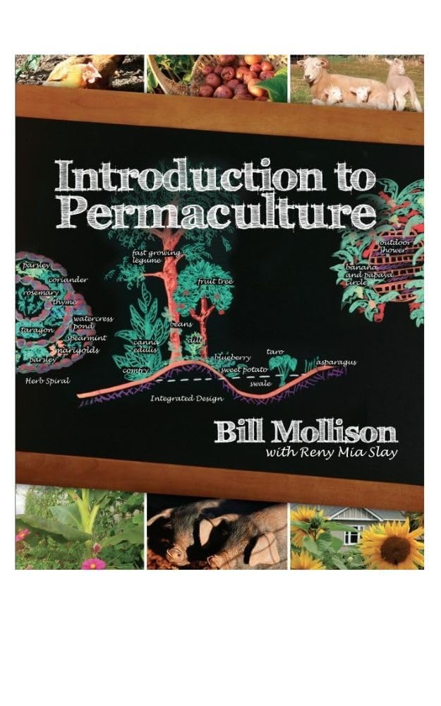 Buy Introduction to Permaculture (English, Paperback, Bill Mollison, Reny Mia Slay, A. Jeeves) Online at Best Price - BookBajar