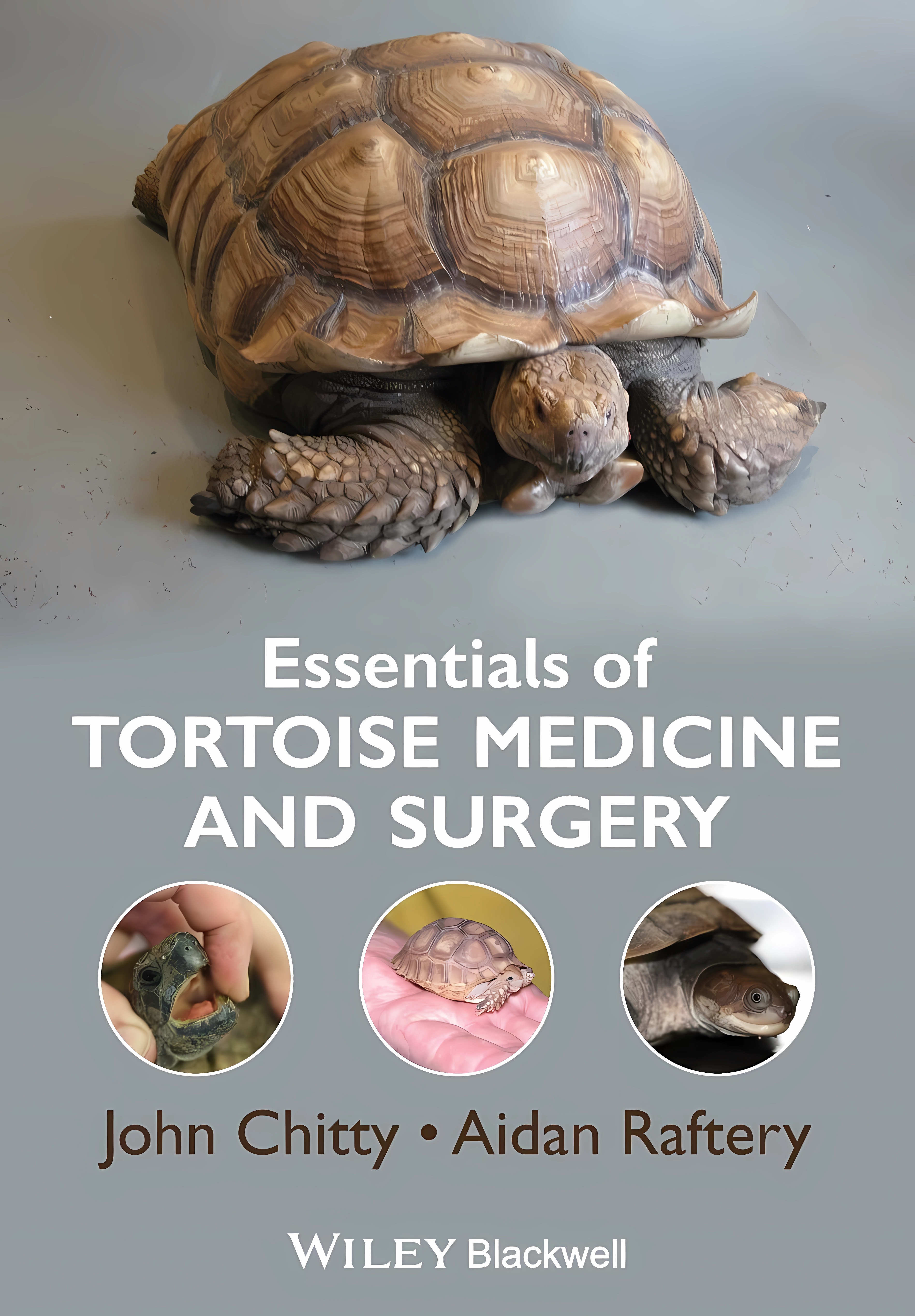 Buy Essentials of Tortoise Medicine and Surgery (English, Paperback, John Chitty) Online at Best Price - BookBajar
