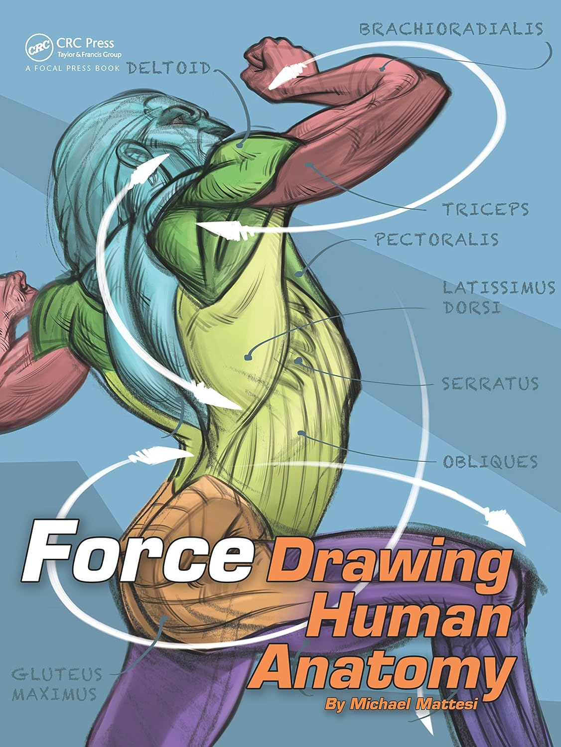 FORCE: Drawing Human Anatomy (English, Paperback, Unknown) - Image 1 - BookBajar