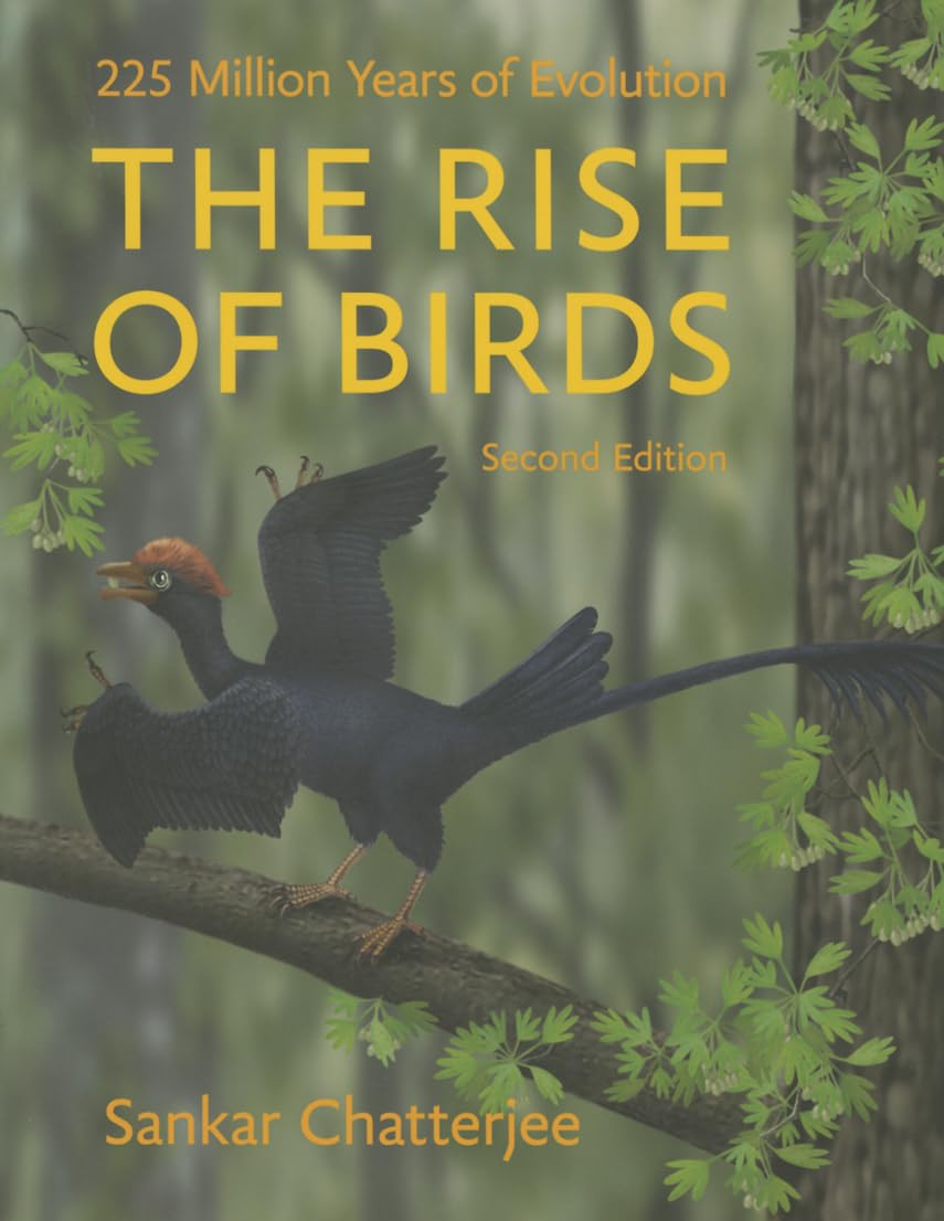 Buy The Rise of Birds: 225 Million Years of Evolution (English, Paperback, Sankar Chatterjee) Online at Best Price - BookBajar