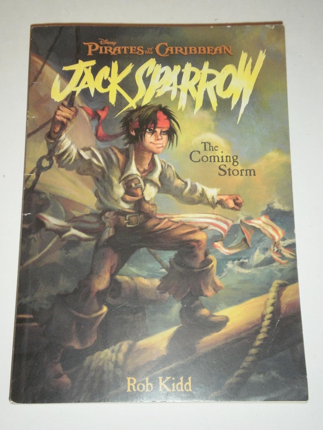 Buy The Coming Storm (English, Paperback, Rob Kidd, Jean-Paul Orpinas) Online at Best Price - BookBajar