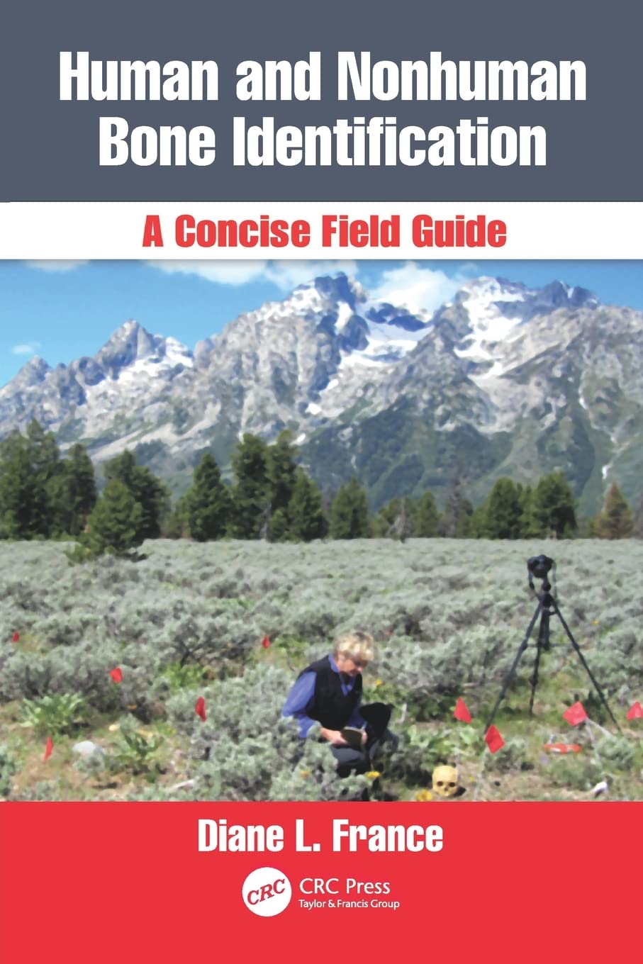Buy Human And Nonhuman Bone Identification A Concise Field Guide (Pb 2011) (English, Paperback, Diane L. France) Online at Best Price - BookBajar