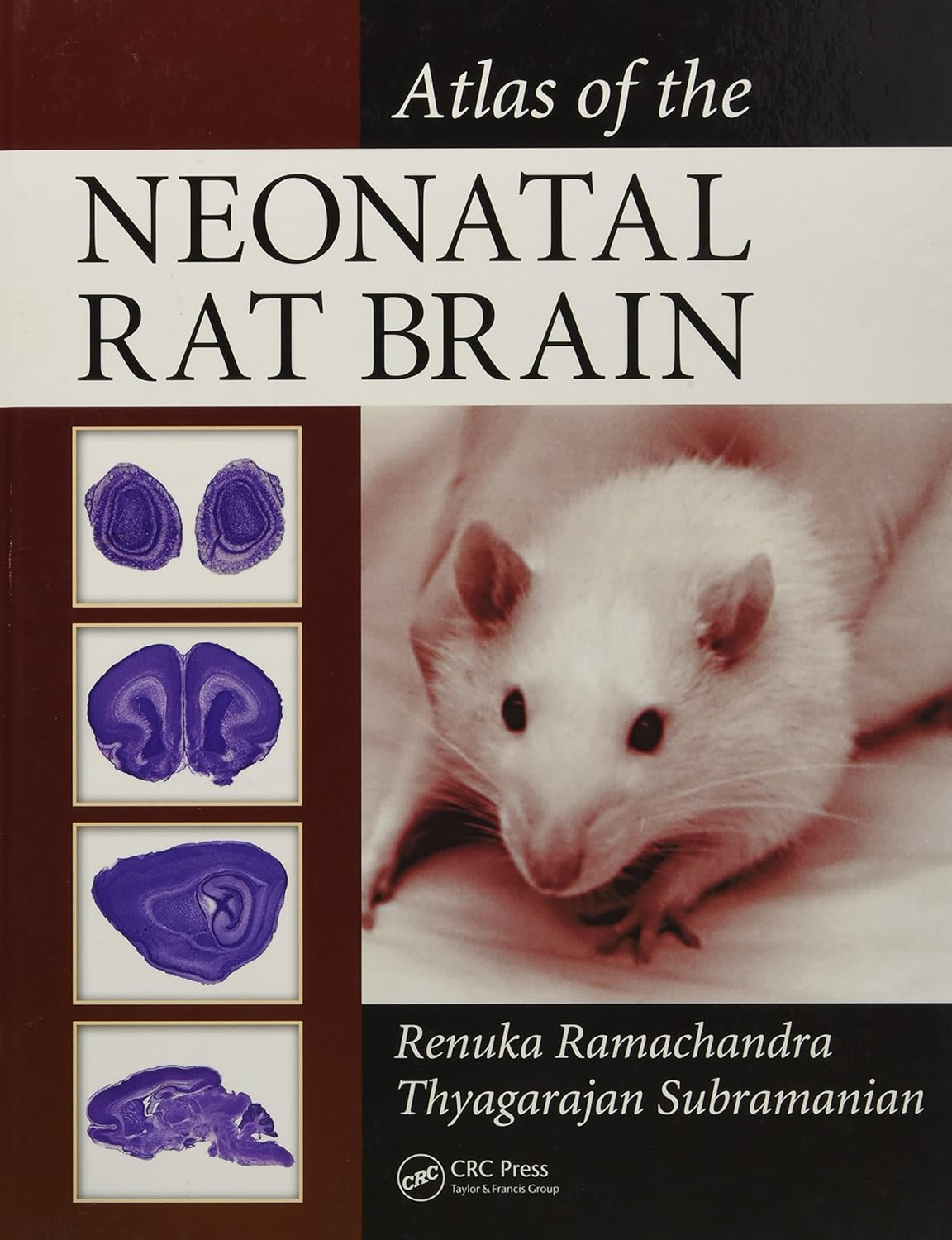 Atlas of the Neonatal Rat Brain (English, Paperback, Renuka Ramachandra, Thyagarajan Subramanian) - Image 1 - BookBajar