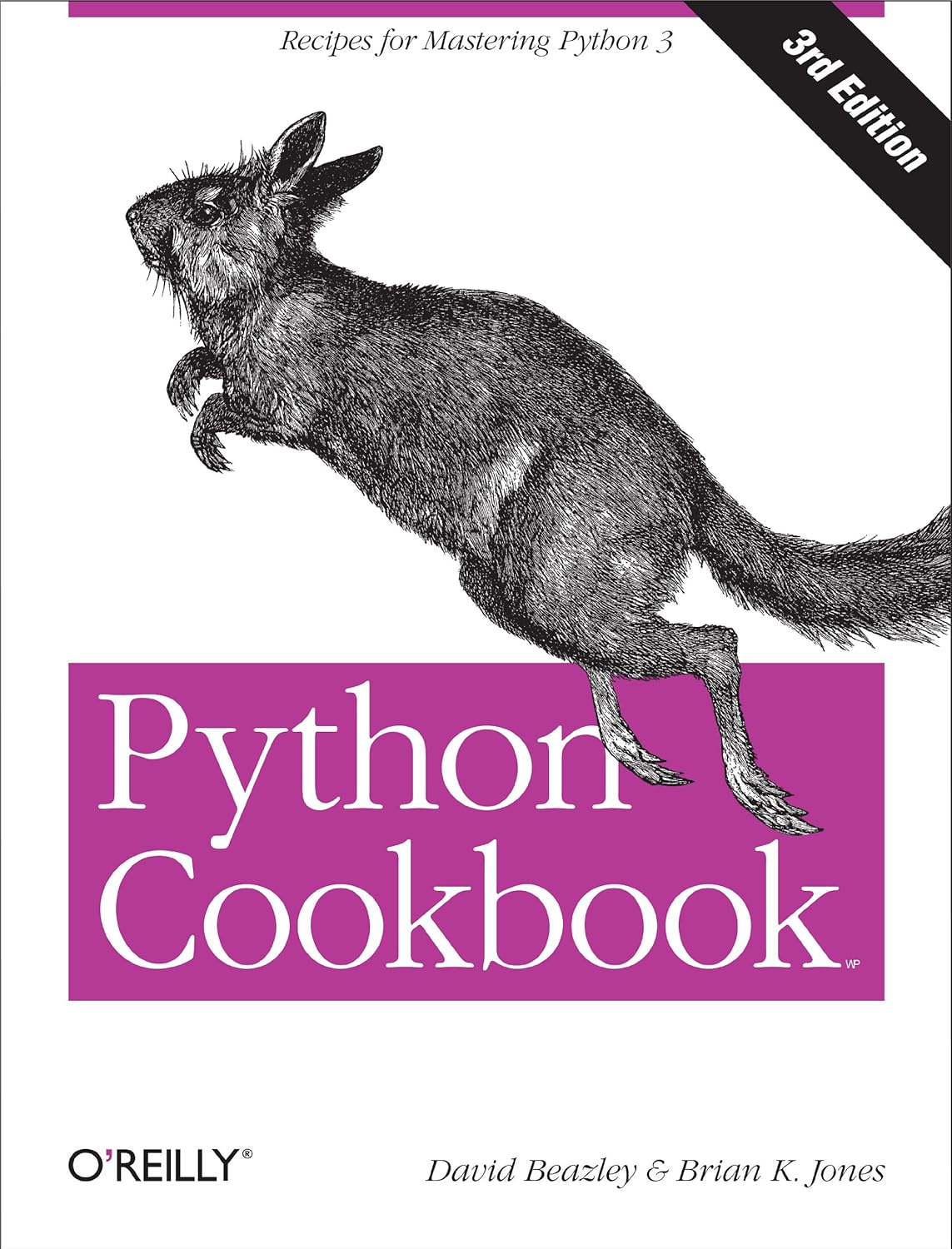 Python Cookbook 3e: Recipes for Mastering Python 3: No. 3 (Python Cookbook: Recipes for Mastering Python): Recipes for Mastering Python : 3rd Edition - Image 1 - BookBajar