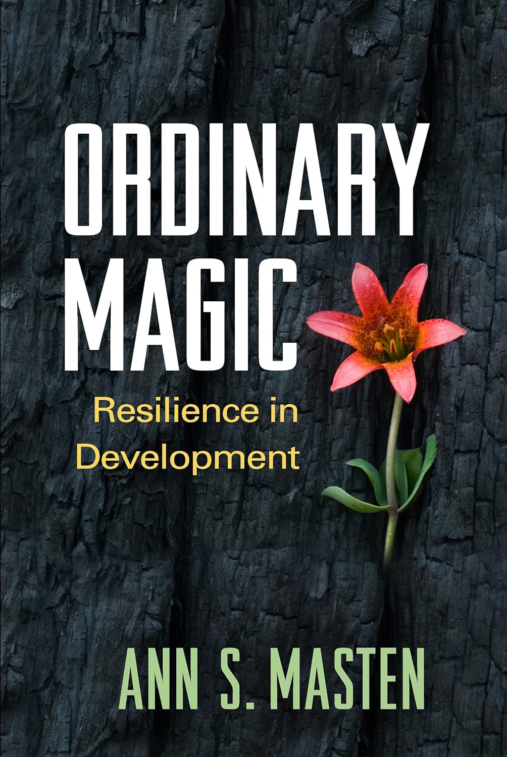 Ordinary Magic: Resilience in Development (English, Hardcover, Ann S. Masten) - Image 1 - BookBajar