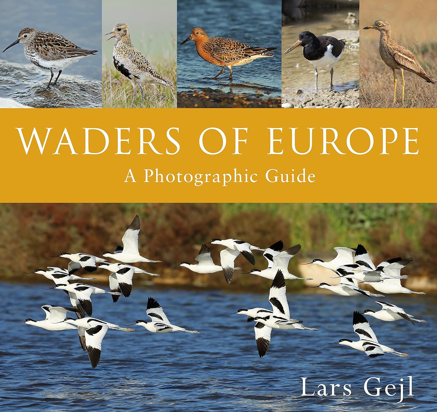 Waders of Europe (English, Hardcover, Lars Gejl) - Image 1 - BookBajar