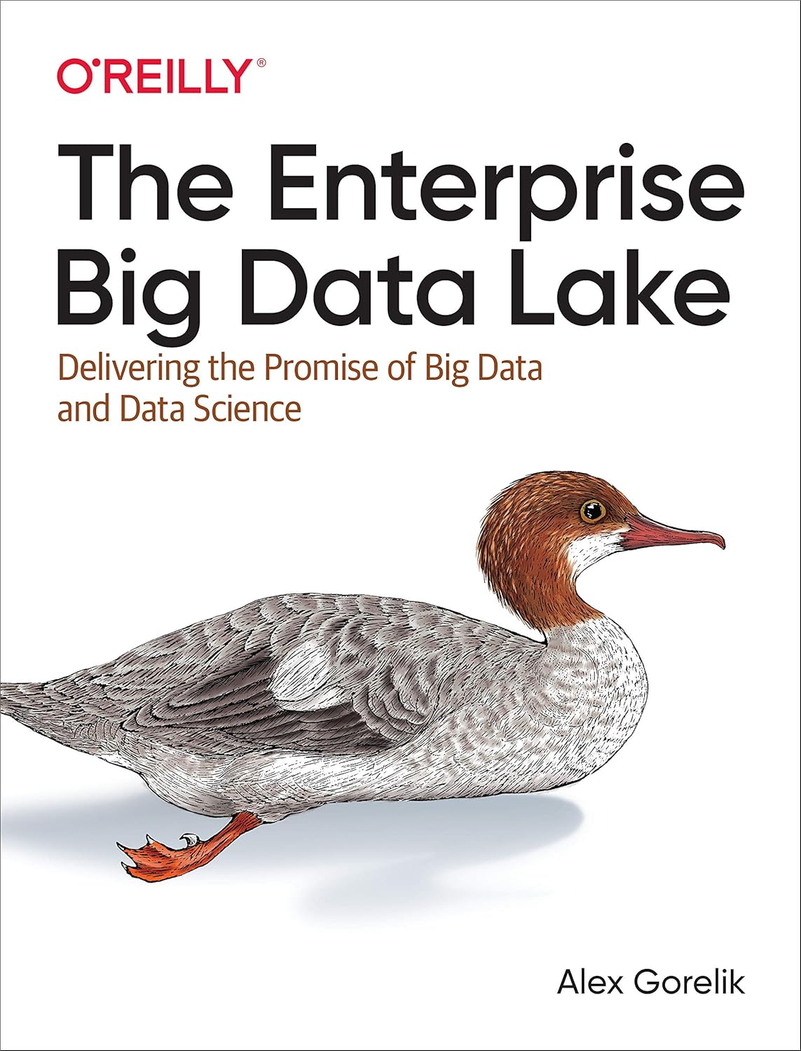Buy The Enterprise Big Data Lake: Delivering the Promise of Big Data and Data Science (English, Paperback, Alex Gorelik) Online at Best Price - BookBajar