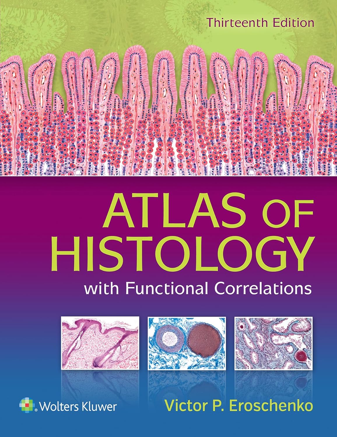 Buy Atlas of Histology With Functional Correlations (English, Paperback, Ph.D. Eroschenko, Victor P.) Online at Best Price - BookBajar