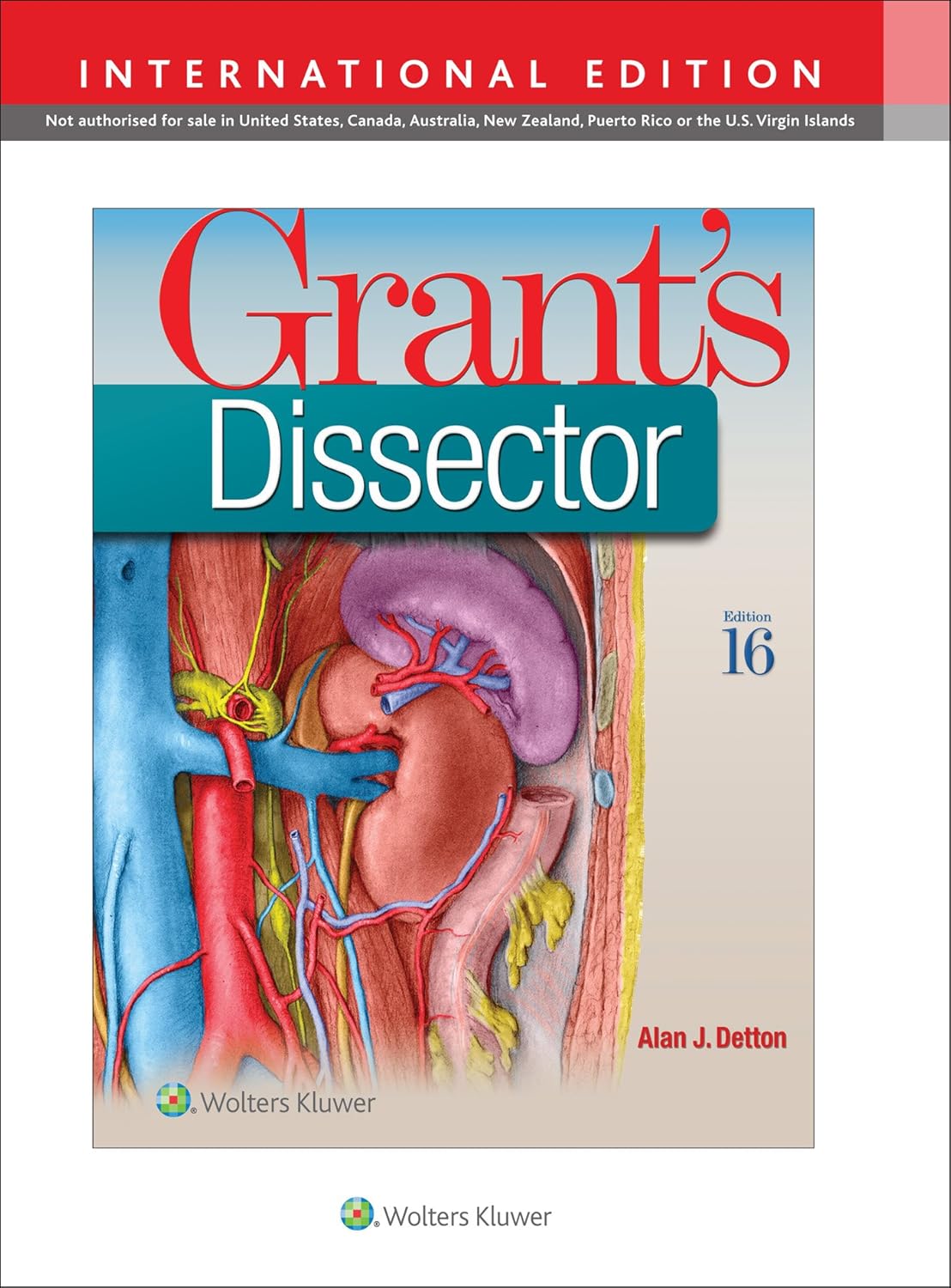Buy Grant's Dissector (English, Paperback, Alan J. Detton) Online at Best Price - BookBajar