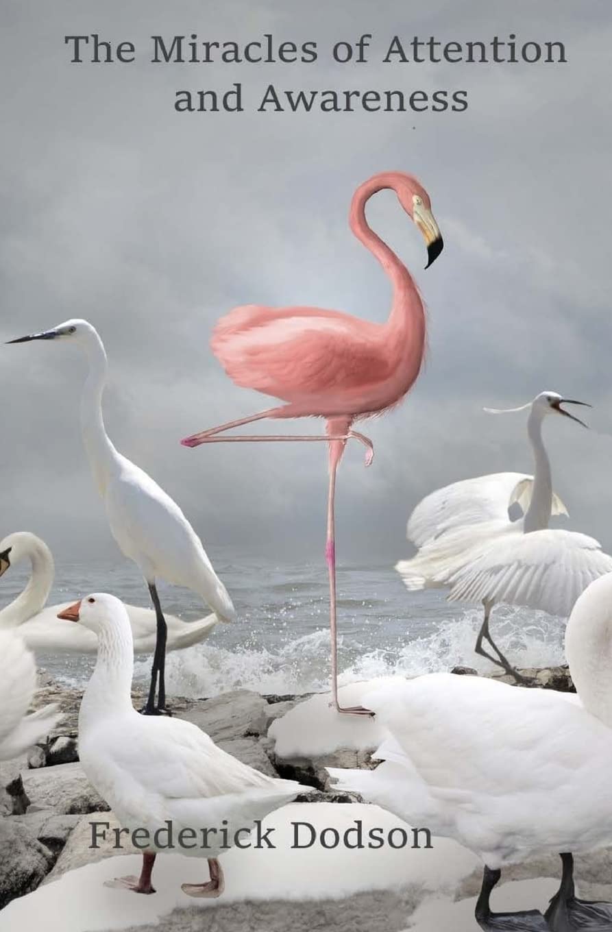 The Miracles of Attention and Awareness (English, Paperback, Frederick Dodson) - Image 1 - BookBajar