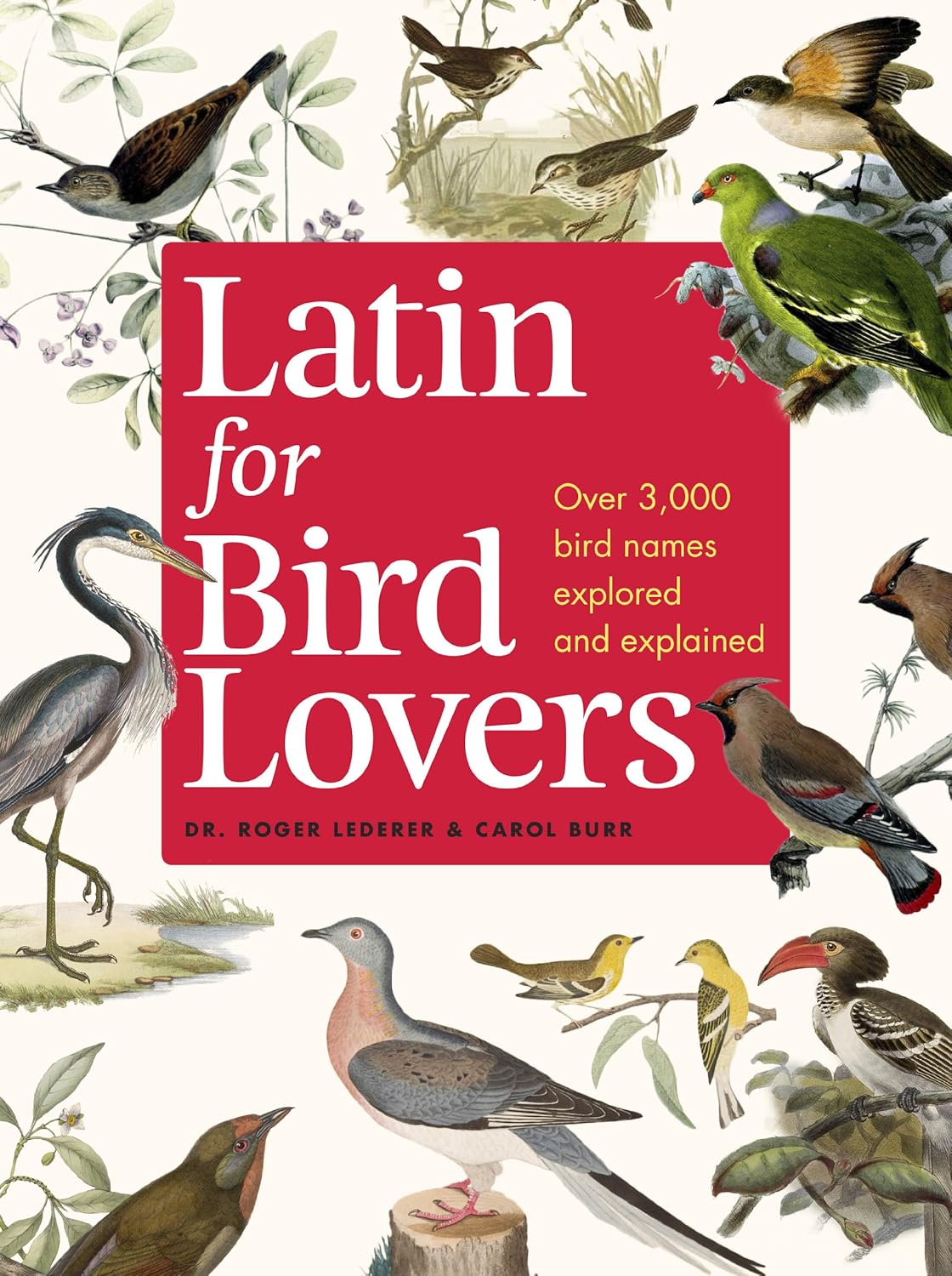 Buy Latin for Bird Lovers (English, Hardcover, Roger J. Lederer, Carol Burr) Online at Best Price - BookBajar