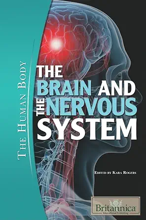 Buy The Brain and the Nervous System (The Human Body) (English, Paperback, Kara Rogers) Online at Best Price - BookBajar