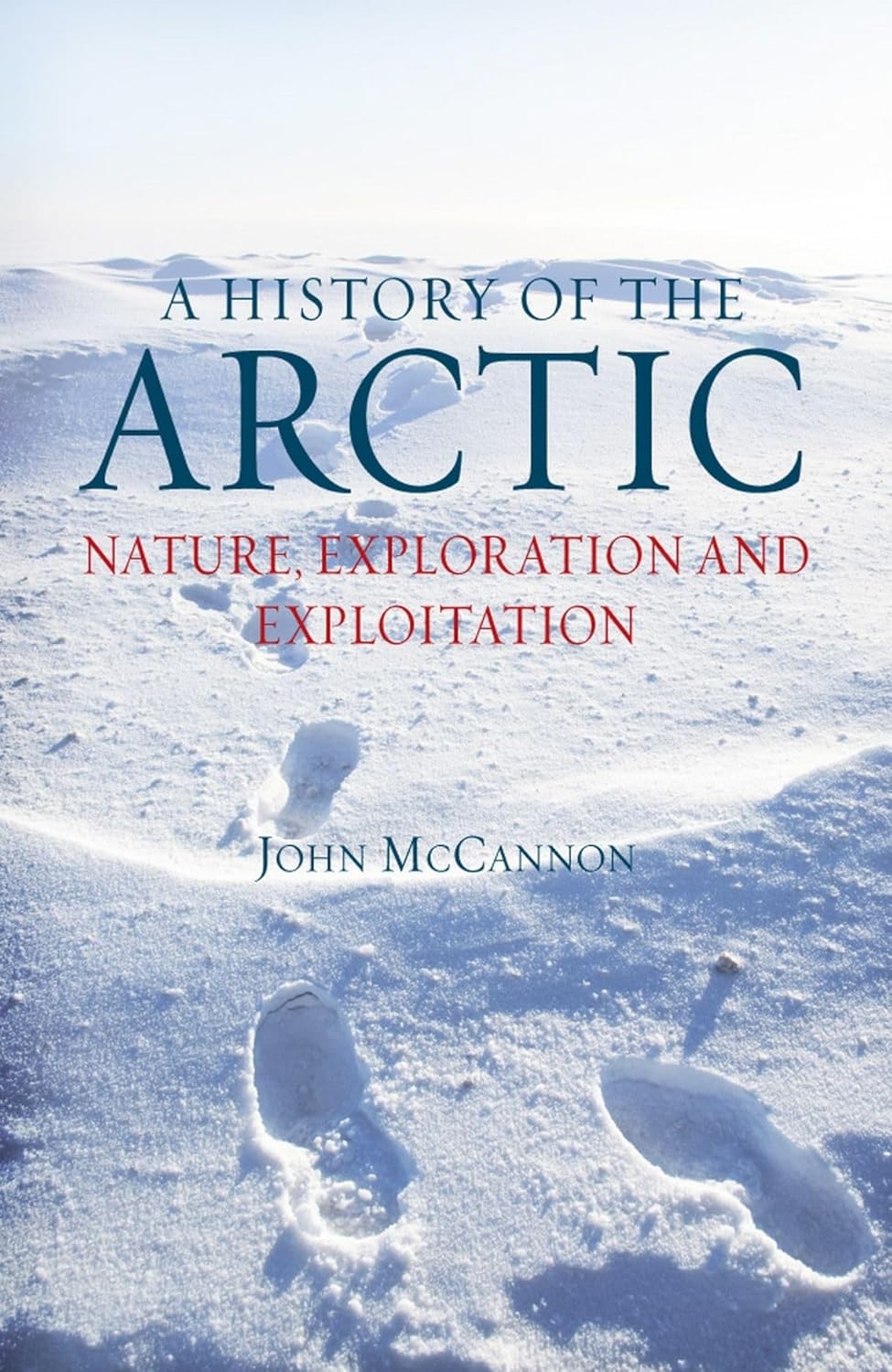 A History of the Arctic (English, Paperback, John McCannon) - Image 1 - BookBajar