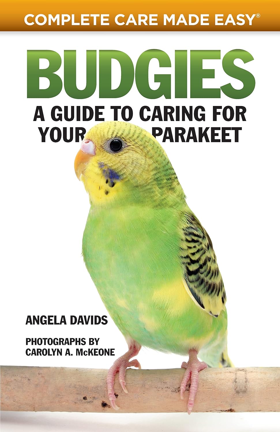 Buy Budgies: A Guide to Caring for Your Parakeet (Complete Care Made Easy) (English, Paperback, Angela Davids) Online at Best Price - BookBajar