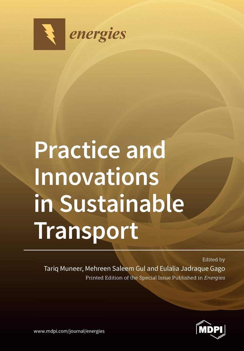 Buy Practice and Innovations in Sustainable Transport (English, Paperback, Tariq Muneer, Mehreen Saleem Gul, Eulalia Jadraque Gago) Online at Best Price - BookBajar