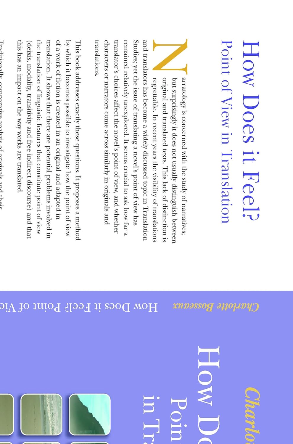 Buy How Does it Feel? Point of View in Translation: The Case of Virginia Woolf into French: 29 (Approaches to Translation Studies, 29) (English, Paperb... Online at Best Price - BookBajar