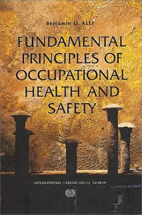 Buy Fundamental Principles of Occupational Health and Safety (English, Paperback, Benjamin O. Alli) Online at Best Price - BookBajar