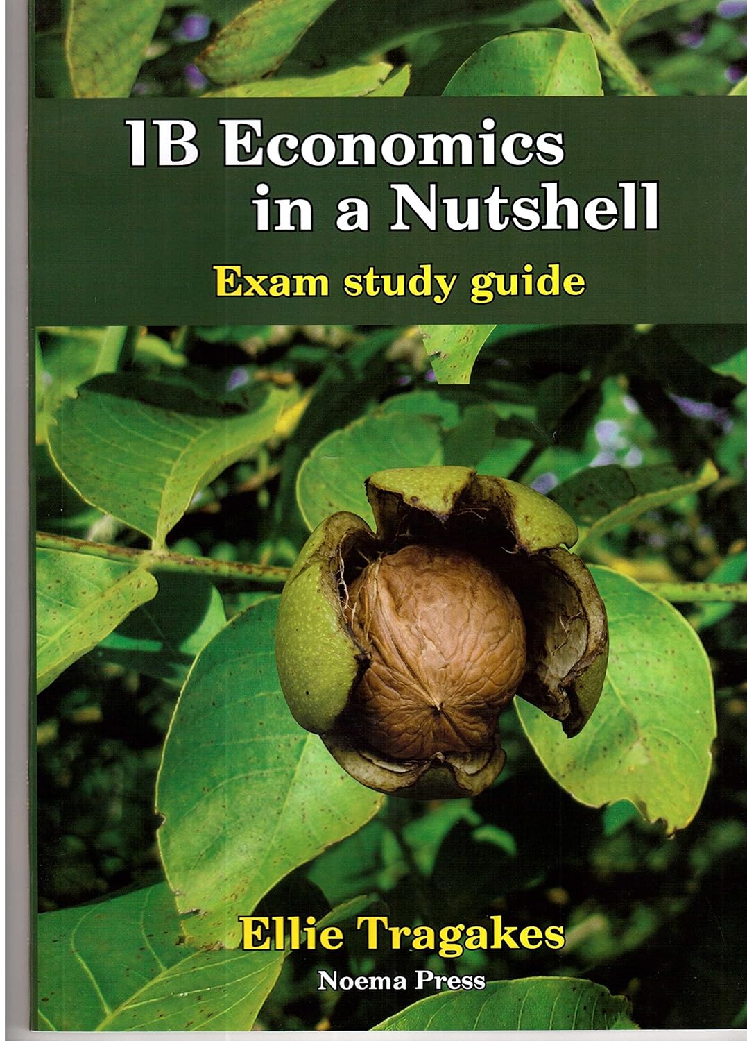 IB Economics in Nutshell Exam study guide (English, Paperback, Unknown) - Image 1 - BookBajar