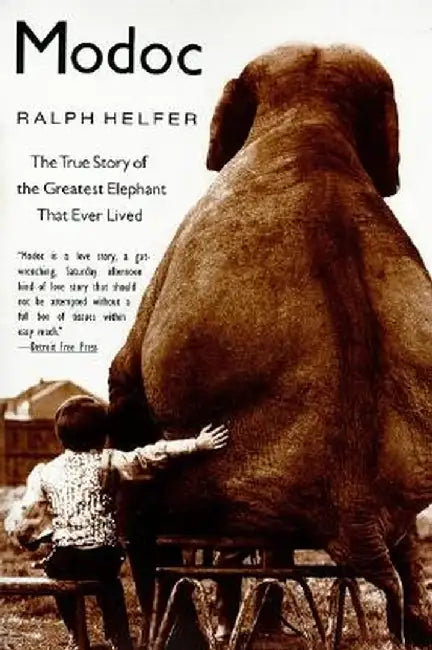 Buy Modoc (English, Ralph Helfer) Online at Best Price - BookBajar