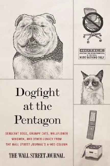 Buy Dogfight at the Pentagon (English, Wall Street Journal) Online at Best Price - BookBajar