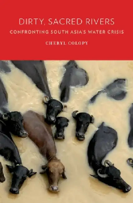 Buy Dirty, Sacred Rivers (English, Cheryl Colopy) Online at Best Price - BookBajar