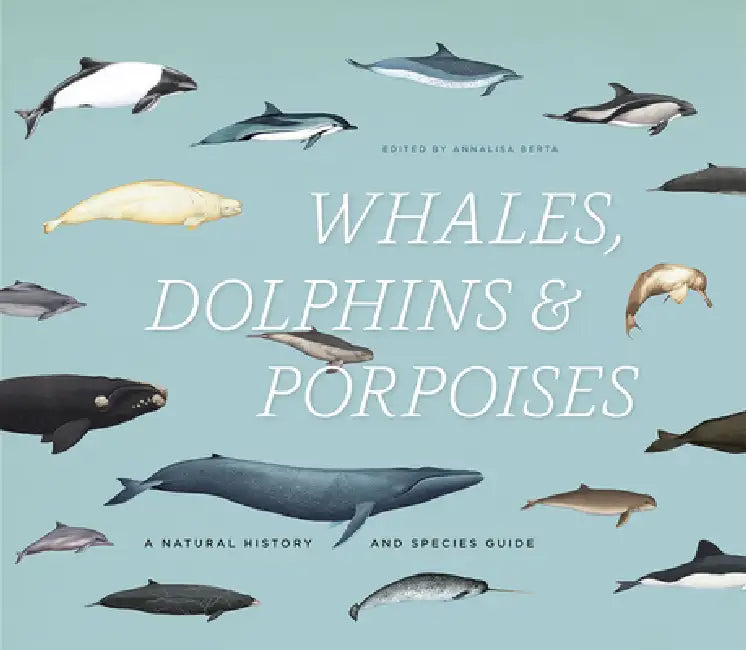 Whales, Dolphins & Porpoises (English, Annalisa Berta) - Image 1 - BookBajar