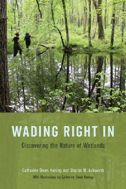 Wading Right in (English, Catherine Owen Koning | Sharon M. Ashworth | Catherine Owen Koning) - Image 1 - BookBajar