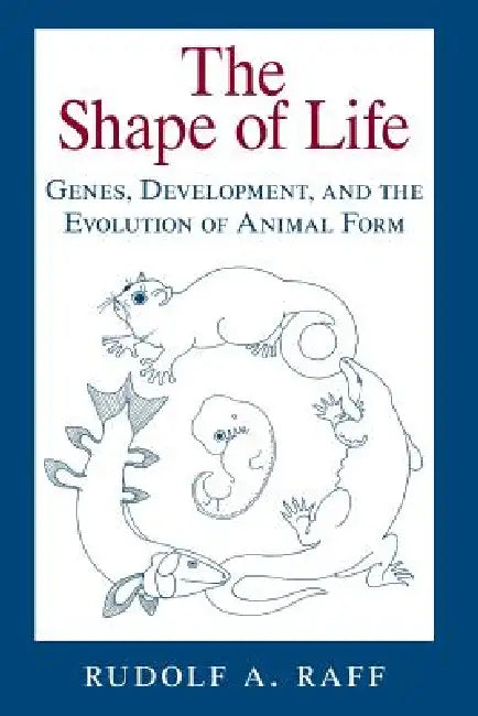 The Shape of Life (English, Rudolf A. Raff) - Image 1 - BookBajar