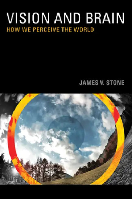 Buy Vision (English, James V. Stone) Online at Best Price - BookBajar
