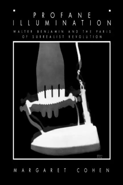 Buy Profane Illumination (English, Margaret Cohen) Online at Best Price - BookBajar