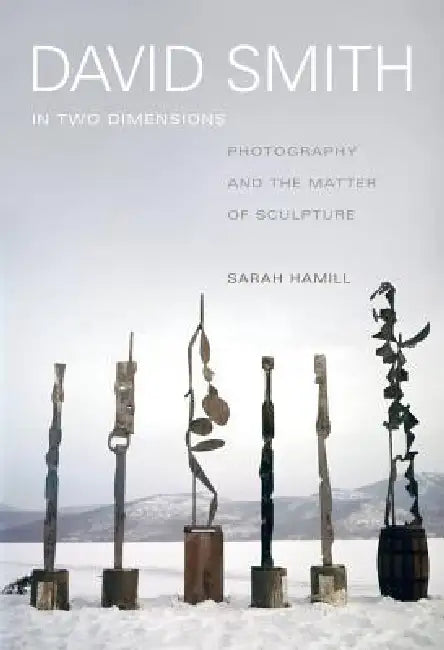 Buy David Smith in Two Dimensions (English, Sarah Hamill) Online at Best Price - BookBajar