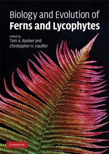 Buy Biology and Evolution of Ferns and Lycophytes (English, Christopher Haufler | Thomas Ranker) Online at Best Price - BookBajar