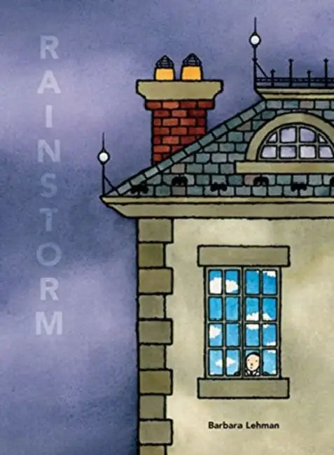 Buy Rainstorm (English, Barbara Lehman) Online at Best Price - BookBajar
