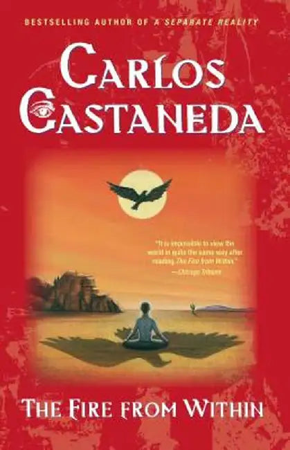 Buy Fire from Within (English, Carlos Castaneda) Online at Best Price - BookBajar