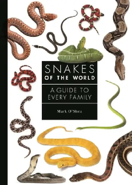 Buy Snakes of the World (English, Mark O'Shea) Online at Best Price - BookBajar