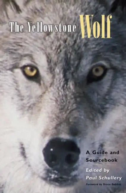 Buy The Yellowstone Wolf (English, Paul Schullery | Bruce Babbitt) Online at Best Price - BookBajar