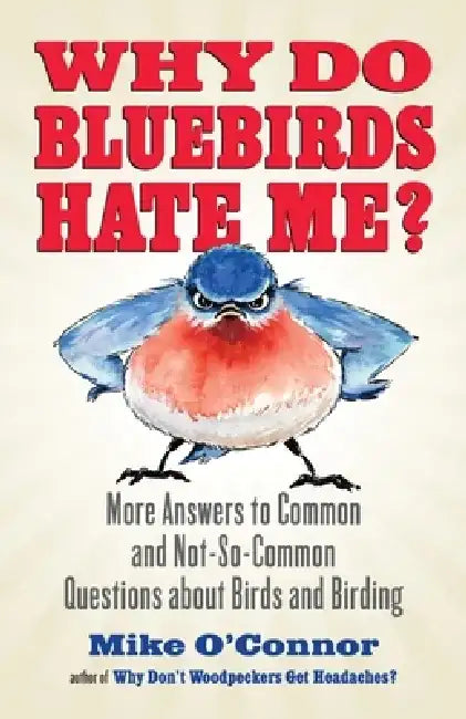 Buy Why Do Bluebirds Hate Me? (English, Mike O'Connor) Online at Best Price - BookBajar