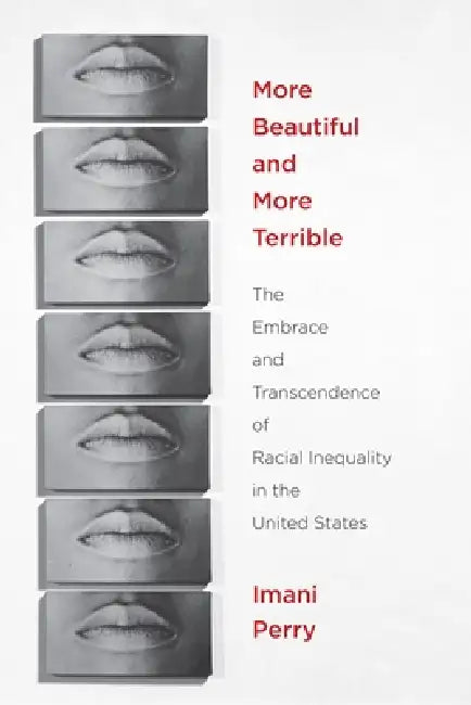 Buy More Beautiful and More Terrible (English, Imani Perry) Online at Best Price - BookBajar